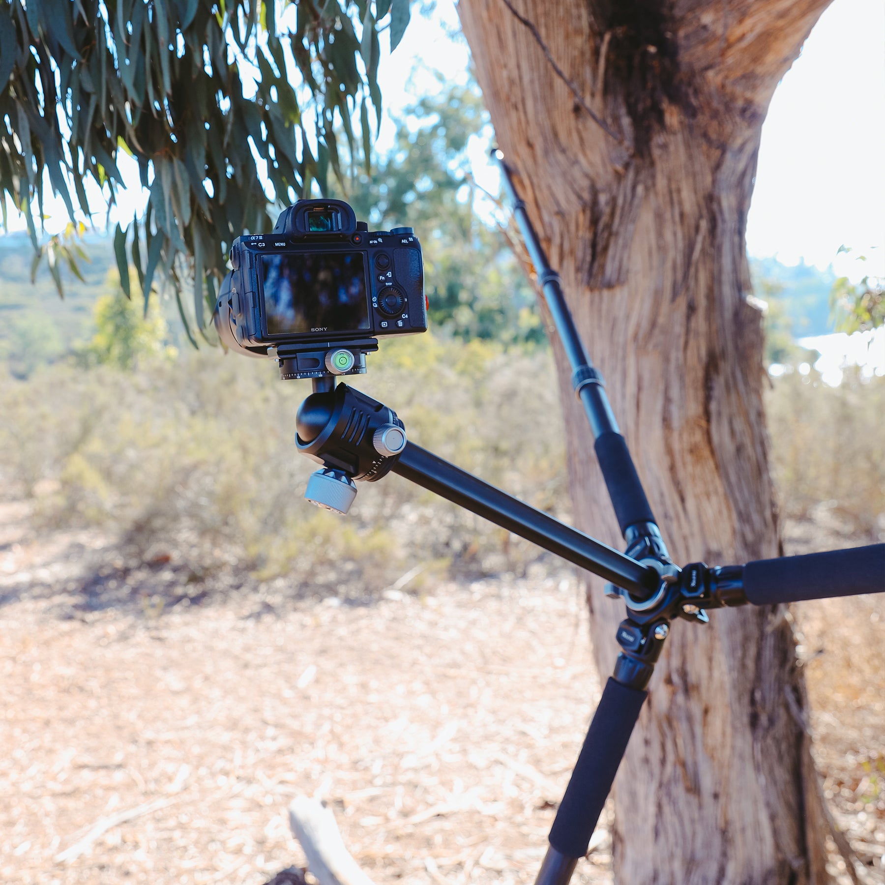 Heavy Duty Tripod HD Carbon - Main Image
