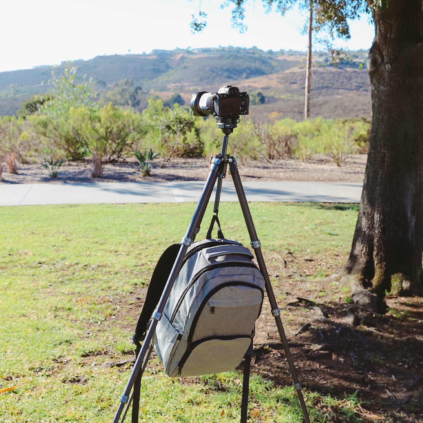Travel Tripod - TT Carbon